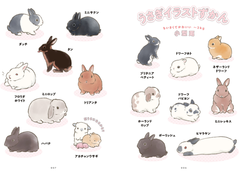 PREORDER The Way of the Rabbit: Why Rabbits Are So Adorable