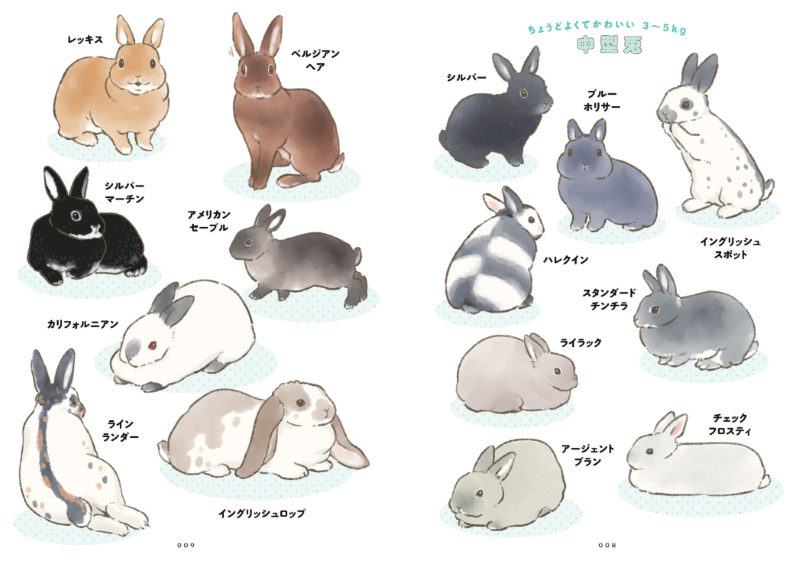 PREORDER The Way of the Rabbit: Why Rabbits Are So Adorable
