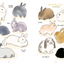 PREORDER The Way of the Rabbit: Why Rabbits Are So Adorable