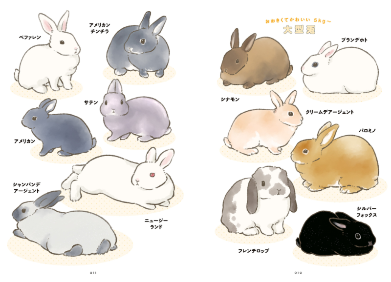 PREORDER The Way of the Rabbit: Why Rabbits Are So Adorable