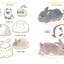 PREORDER The Way of the Rabbit: Why Rabbits Are So Adorable
