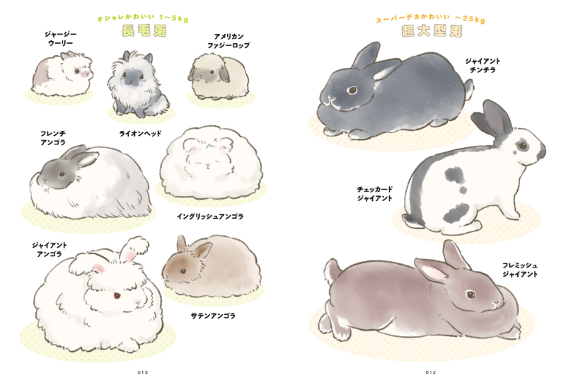 PREORDER The Way of the Rabbit: Why Rabbits Are So Adorable