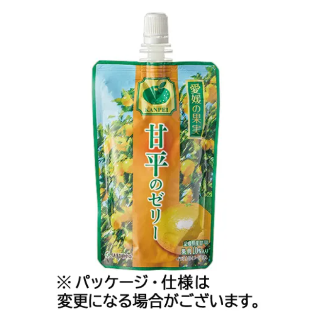JA Ehime Chuo Assorted Fruit Jelly