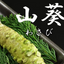 Fundodai Wasabi Oil