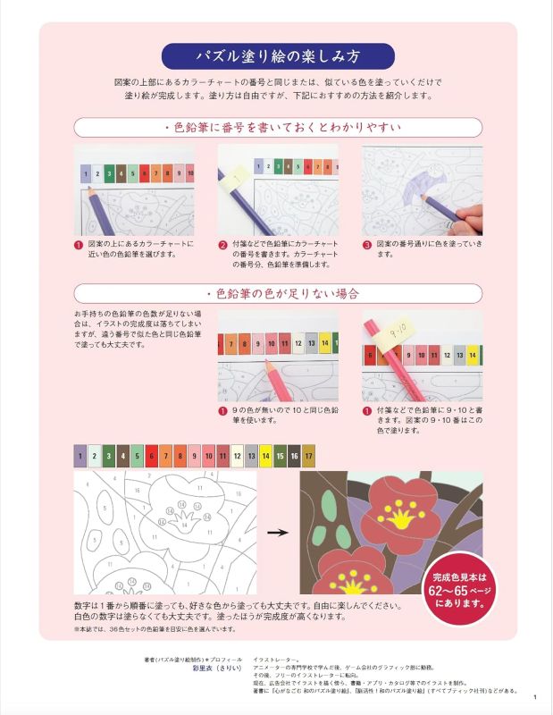 PREORDER Japanese Puzzle Coloring 60: The Ultimate Edition