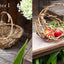 PREORDER Nature-Woven Baskets: Beginner Basketry with Wild and Garden Materials