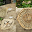 PREORDER Nature-Woven Baskets: Beginner Basketry with Wild and Garden Materials