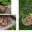 PREORDER Nature-Woven Baskets: Beginner Basketry with Wild and Garden Materials