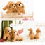 PREORDER My First Wool Felt Animals: Step-by-Step Photo Lessons