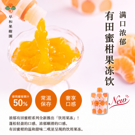 Sowa Kajuen Arita Mikan Mandarin Orange Jelly