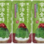 PREORDER Kaldi Nugget Ice (Assorted Flavors)