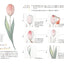 PREORDER Botanical Illustration & Casual Lettering Lessons: Draw in as Little as 10 Minutes