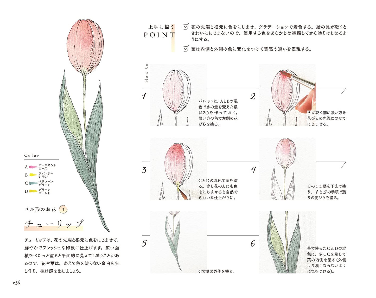 PREORDER Botanical Illustration & Casual Lettering Lessons: Draw in as Little as 10 Minutes