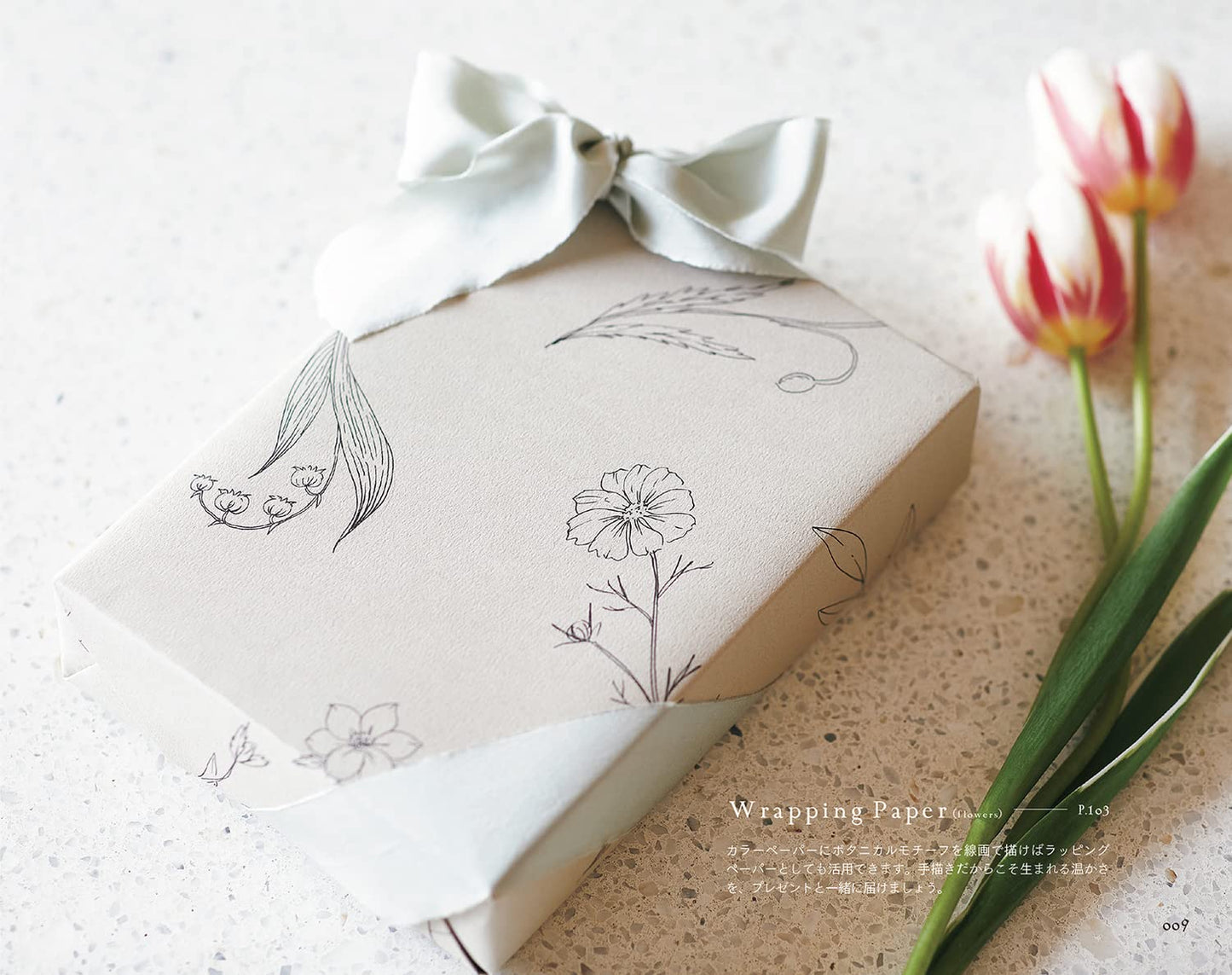 PREORDER Botanical Illustration & Casual Lettering Lessons: Draw in as Little as 10 Minutes
