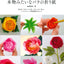 PREORDER Lifelife Origami Roses Best Selection