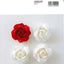 PREORDER Lifelife Origami Roses Best Selection