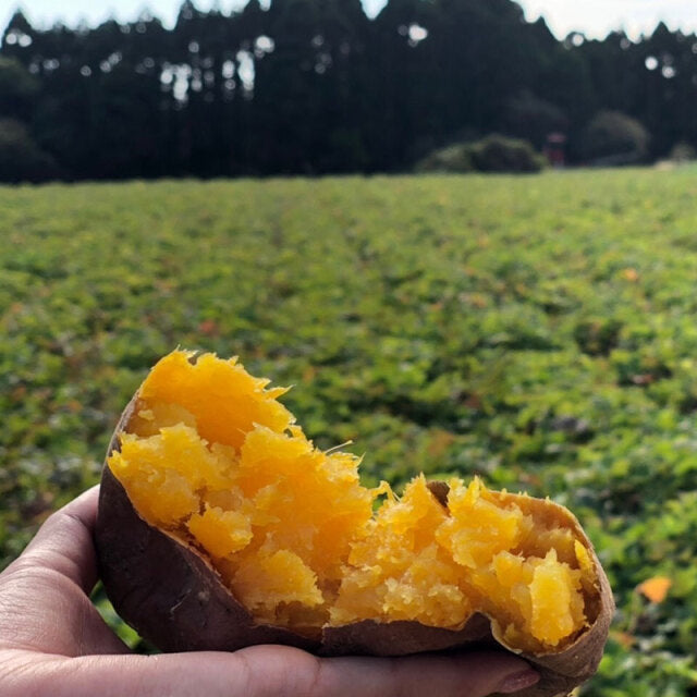 NORTH FARM STOCK Hokkaido Anno-imo Sweet Potato & Milk Spread