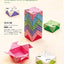 PREORDER Fun Origami Boxes and Containers: 30 Cute and Practical Projects