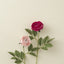 PREORDER Beautiful Origami Roses