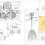 PREORDER Neon Genesis Evangelion: Theatrical Edition Key Animation Collection Digest
