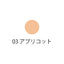Shiseido INOUI Concealer