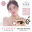 FLANMY Daily Disposable Color Contact Lenses - Orange Brownie 14.5 mm (-2.50) 30 sets