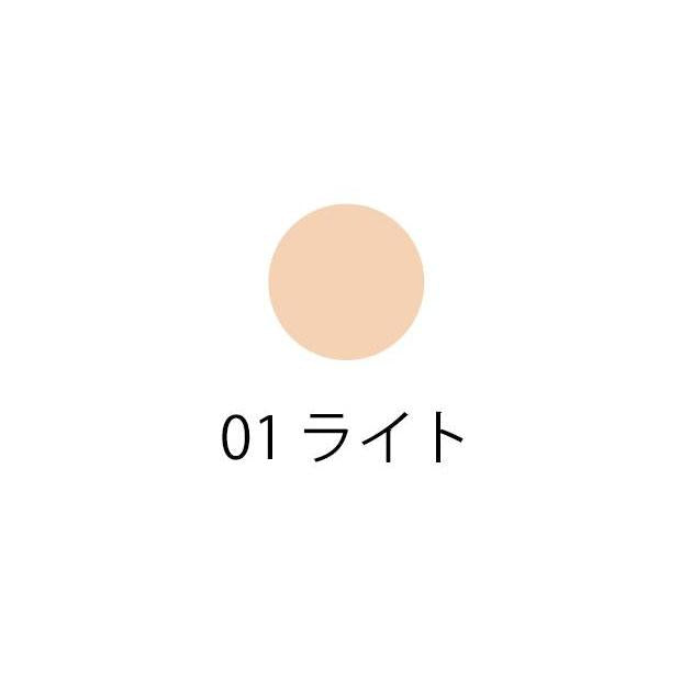 Shiseido INOUI Concealer