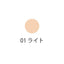 Shiseido INOUI Concealer