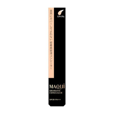 Shiseido Maquillage Dramatic Concealer