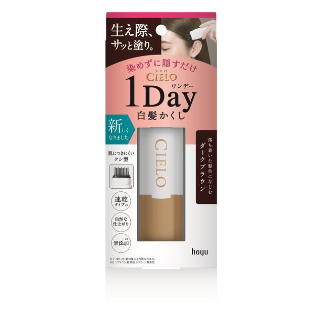 HOYU Cielo One Day Gray Hair Concealer